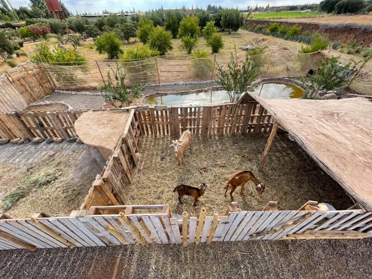 Jnan Lotf Marrakech Hotel El Harkat Ngoại thất bức ảnh