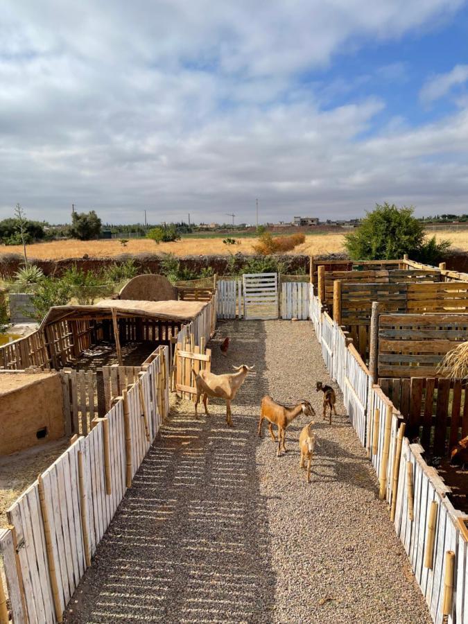 Jnan Lotf Marrakech - Le Jardin De La Bienviellance Hotel El Harkat Ngoại thất bức ảnh
