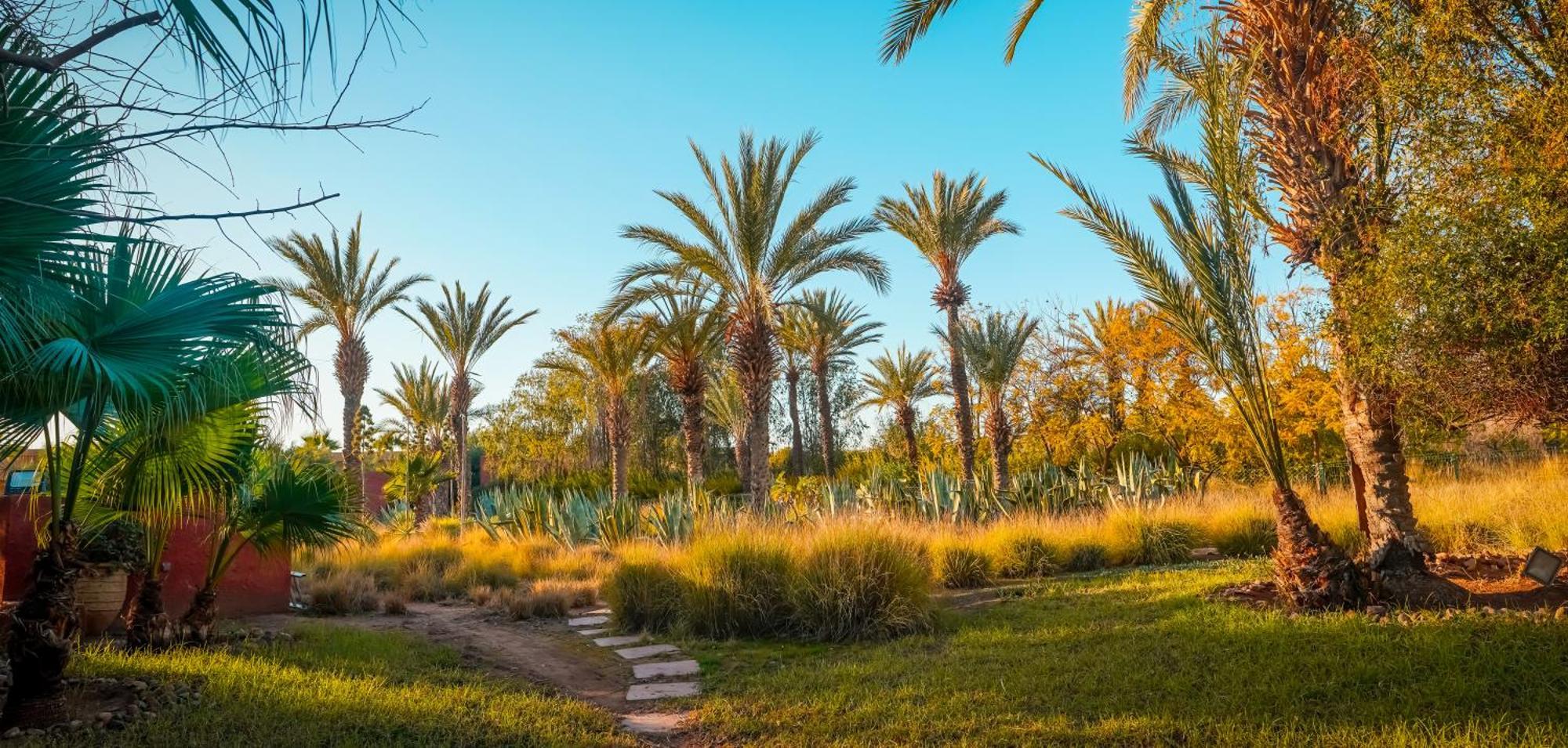 Jnan Lotf Marrakech Hotel El Harkat Ngoại thất bức ảnh